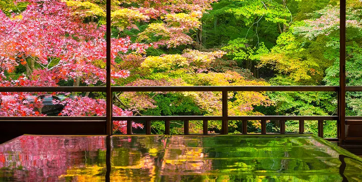 紅葉が映える寺院の風景